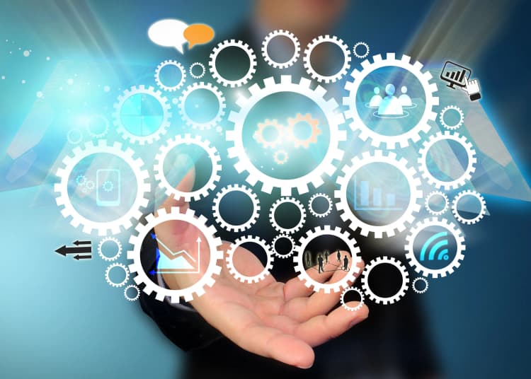 Our Expertise Our Expertise