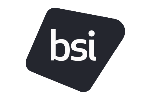 The British Standards Institution