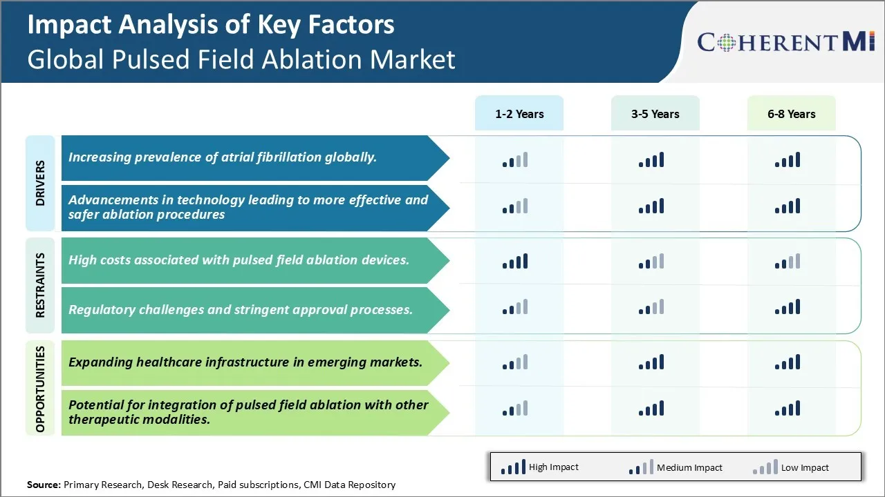 Pulsed Field Ablation Market Key Factors
